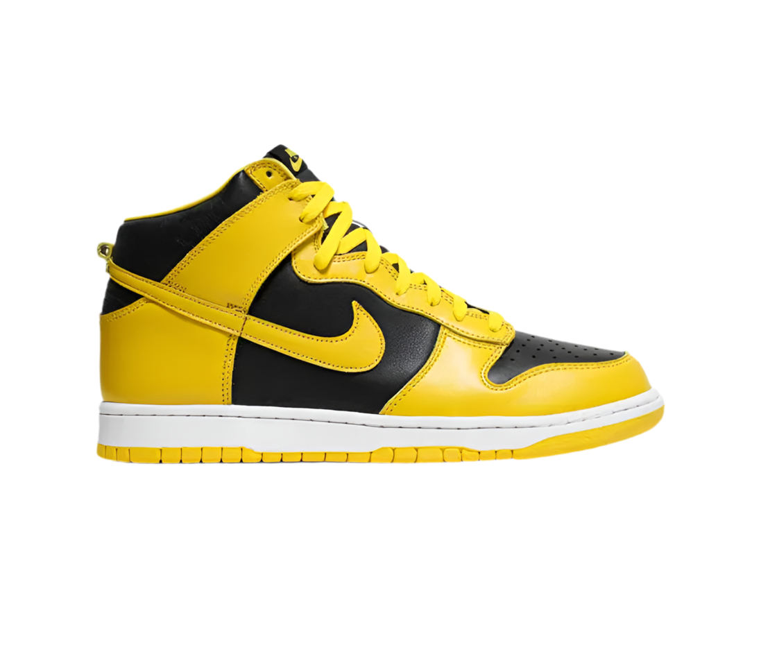 Nike Dunk Varsity Maize Black Iowa (2020)
