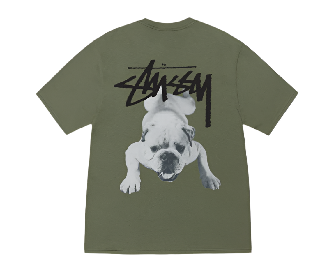 Stussy Stock Dog Olive Tee (2025)