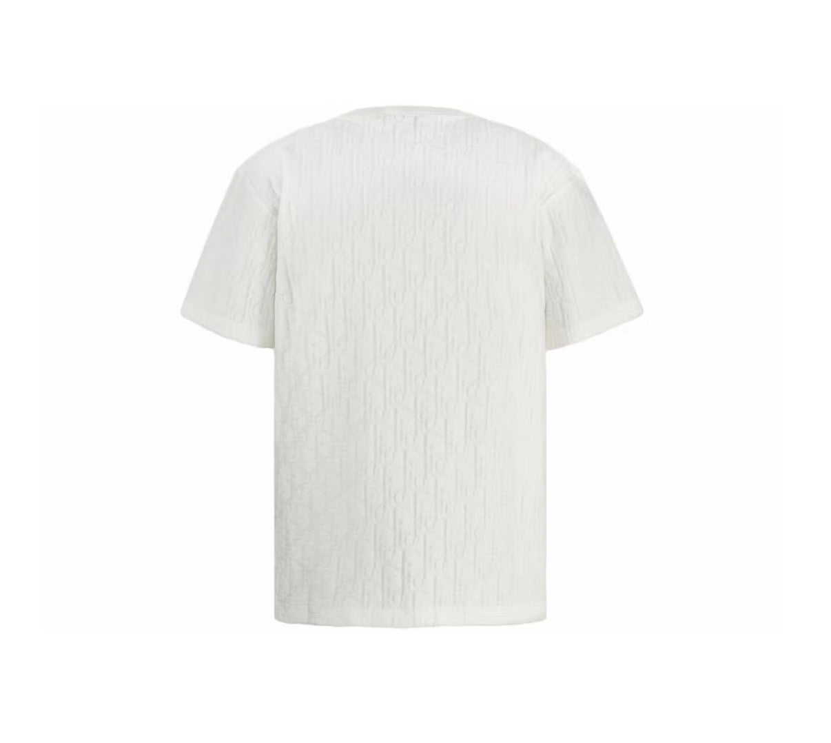 Dior Oblique Print Jaquard Tee (2021)