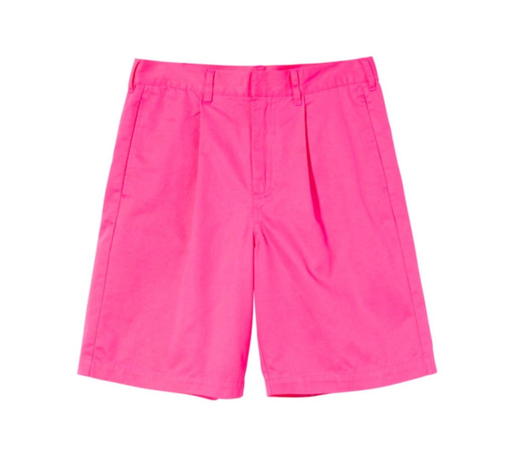 Stussy Lee Baggy Shorts Hot Pink (2023)