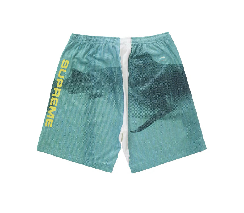 Supreme Damien Hirst Soccer Short (2025)
