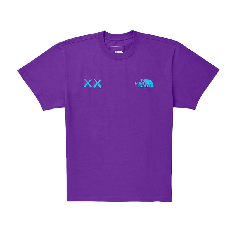 Kaws x The North Face Gravity Purple Tee (2022)